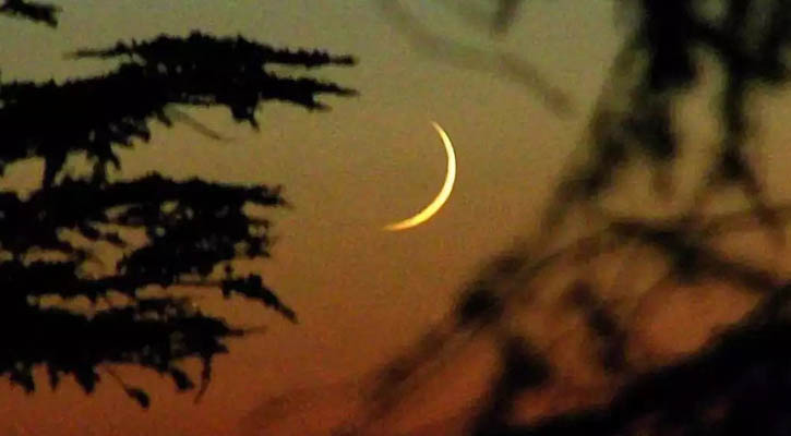 জাতীয় প্রেস ক্লাবের সামনে দুই বাসে আগুন