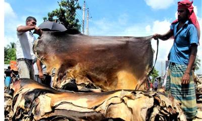কোরবানির চামড়ার দাম নির্ধারণ