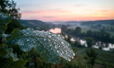অন্তরের চোখ ও রবের নিদর্শন: আধ্যাত্মিক অন্ধত্ব থেকে মুক্তির উপায়