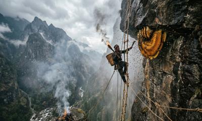 Hunting Mad Honey: The Perilous Cliff Expedition in the Himalayas