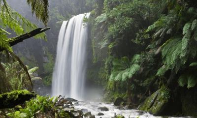 Beyond Physical Surroundings: The True Definition of Environment