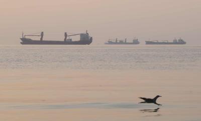 Gulf States Push Multipart Peace Deal to Avert US-Iran Conflict