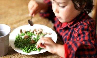 Iran War Threatens 10 Billion Meals Weekly, Yara CEO Warns
