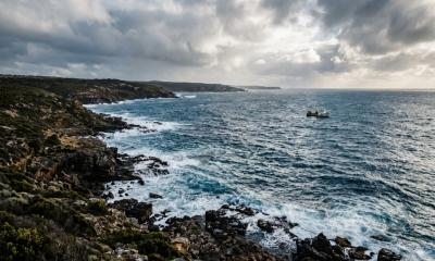 Australian Father Killed in Horrific Shark Attack Near Perth