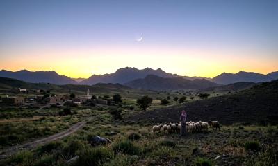 The Historical Roots and Spiritual Objectives of Qurbani