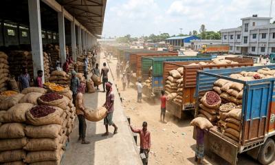 Hili Port Imports Stabilize Spice Market Before Eid-ul-Adha