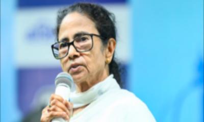 হিন্দু ধর্ম নিয়ে মন্তব্যের জেরে মমতার বিরুদ্ধে সাইবার মামলা