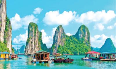 Vietnam Launches First Halal Product Legal Framework