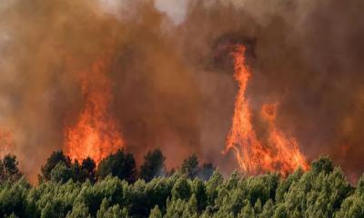 Heatwave in Europe claims 3,700 lives in three countries
