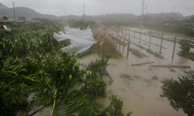 টাইফুন বাভি দুর্বল হয়ে চীনে আঘাত হানায় ২০ লাখ মানুষ স্থানান্তরিত