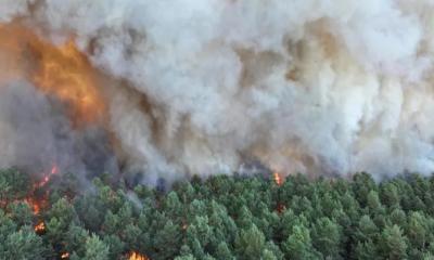 Wildfires near Paris Force Evacuations and Traffic Chaos