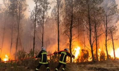 Massive Wildfires Force 300k Evacuations in Europe