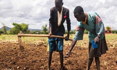 Uganda faces severe food crisis and drought emergency