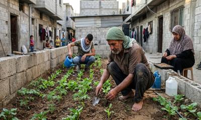 Small-Scale Farming Offers Hope for Displaced Gaza Farmers