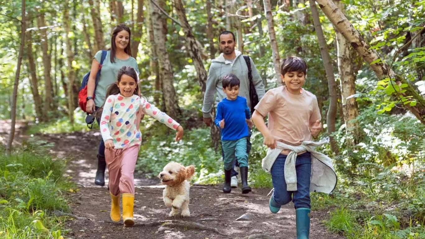 ২০ মিনিট প্রকৃতির সান্নিধ্য: সুস্বাস্থ্যের এক নতুন দাওয়াই