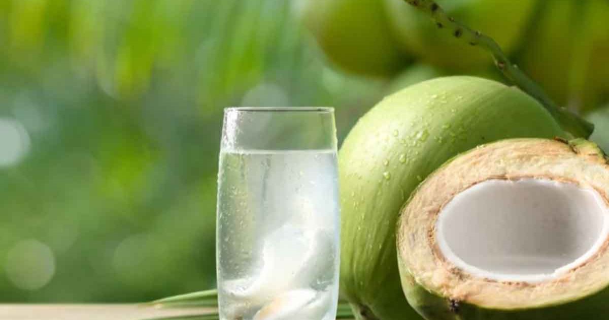 5 Vital Precautions Before Drinking Coconut Water in Summer
