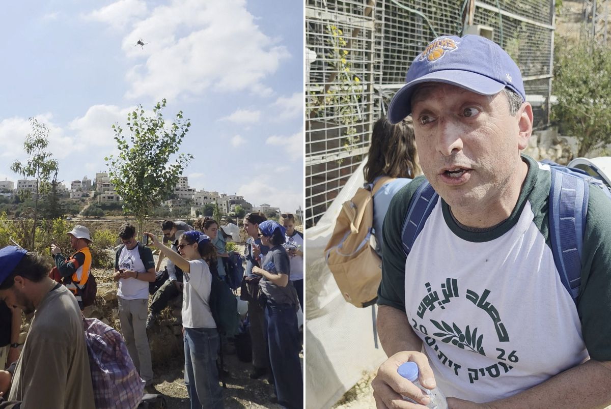 US Politician and Rabbis Detained During West Bank Olive Harvest