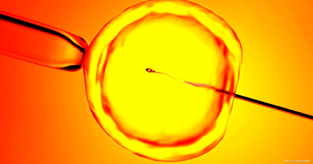 Columbia’s STAR AI Gives Hope to Infertile Men Worldwide