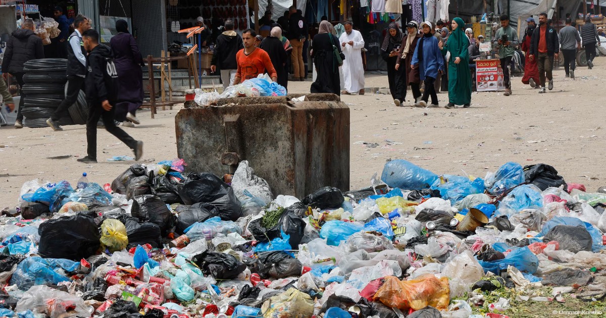 Rats Infest Gaza‍‍`s Tent Camps, Biting Children and Spreading Disease