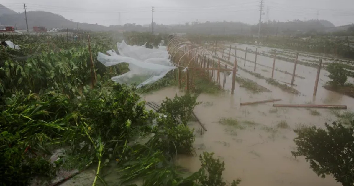টাইফুন বাভি দুর্বল হয়ে চীনে আঘাত হানায় ২০ লাখ মানুষ স্থানান্তরিত