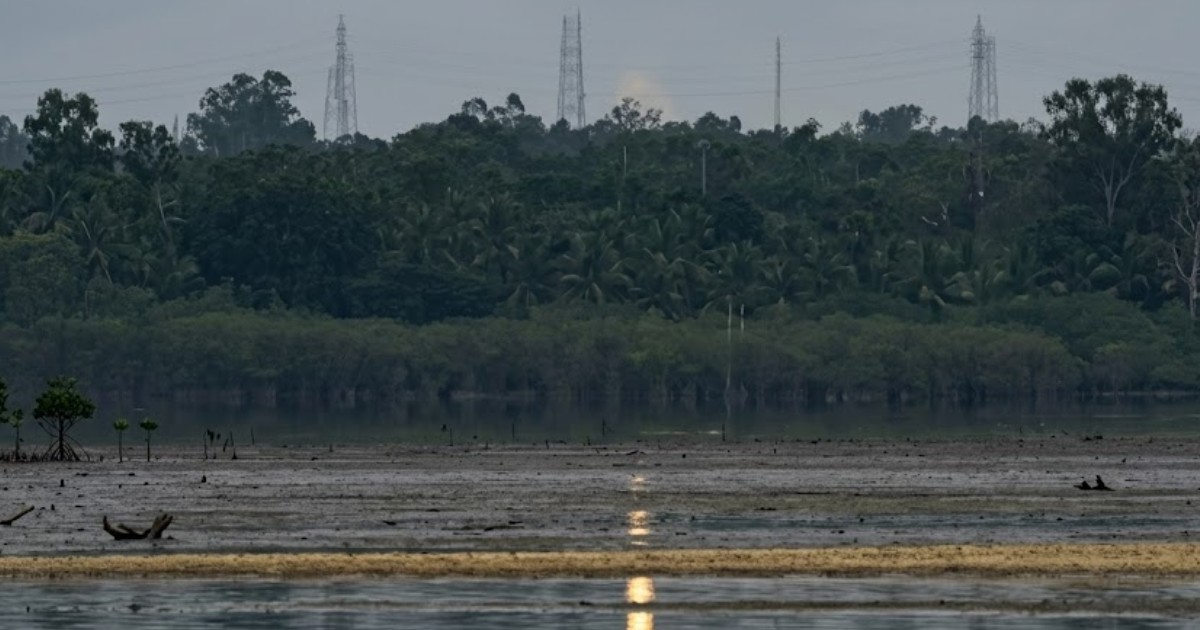 India‍‍`s Private Orbital Rocket Achieves Historic Launch