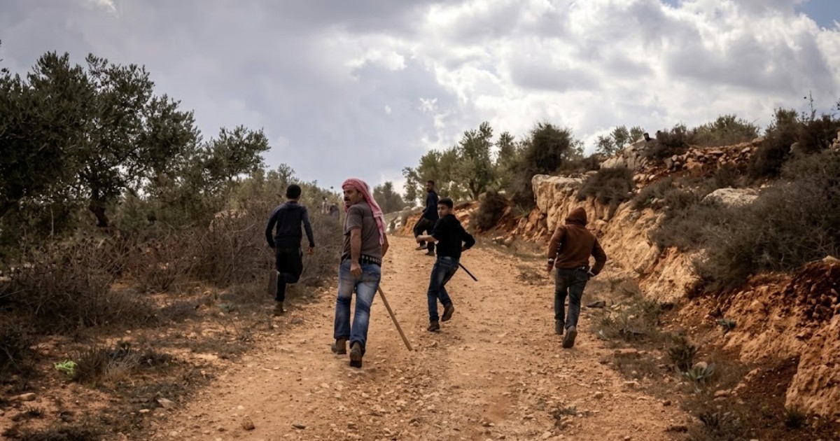 Olive harvesters targeted‍‍` in West Bank attack